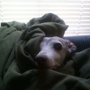 Meet your Posher, Kelly